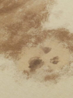 Aelfric Eden Blurring Bear Print Tee -Aelfric Eden Shop jpeg 0131b349 37e4 4992 bc63 dd6c4e2d6ac3