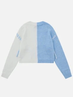 Color Blocking Crochet Wool Blend Cardigan -Aelfric Eden Shop jpeg 58f349f8 3d5a 495c b4b2 5d19e03c3b50