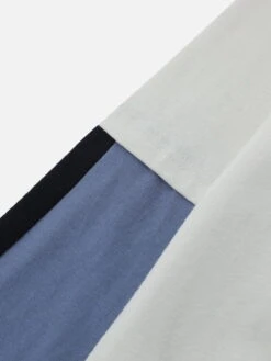 Aelfric Eden Vintage Color Blocking Sweatshirt -Aelfric Eden Shop jpeg 8d1be09a e71a 4bd5 838c 6edf73756c9c