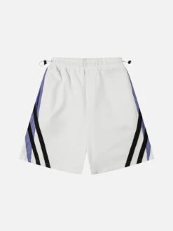 Aelfric Eden Colorblock Stripes Shorts -Aelfric Eden Shop jpeg b0c29cfa a744 4237 acc8 d8150178b00f