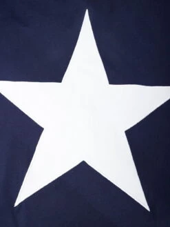 Aelfric Eden Embroidery Star Tee -Aelfric Eden Shop jpeg b6634d3a 4205 4368 a9a6 d0bcb6b0d224